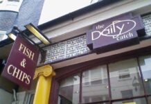 Restaurant of the Week: The Daily Catch