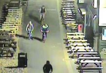 Police looking for four in connection with Hove beach huts vandalism