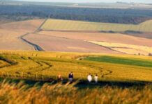 What’s on this weekend in Brighton: 20th-22nd April