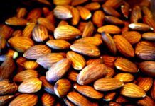 Katie’s Nuttery: The New Vegan Mylkman of Brighton