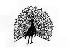 Calling all young poets! Peacock Poetry Prize’s deadline is fast approaching!