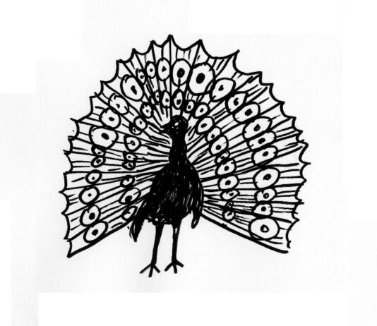 Calling all young poets! Peacock Poetry Prize’s deadline is fast approaching!