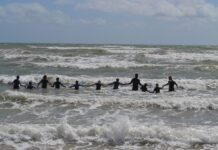 Seabirds: Brighton Enterprise Helping Young People Get In The Sea
