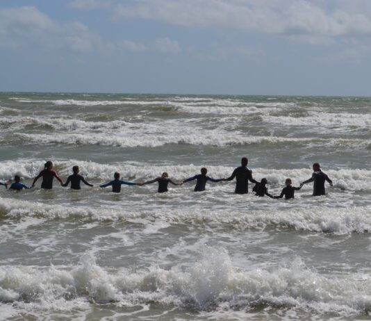 Seabirds: Brighton Enterprise Helping Young People Get In The Sea