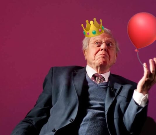 David Attenborough’s Belated Birthday Party: An Exhibition