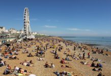 Bored of the Beach Already? Here’s Some Alternatives