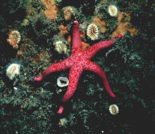 Beautiful Creepy Crawly Sussex: The Nature to Look Out For As The Seasons Change