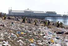 That’s Rubbish: Brighton’s Big Clean Up After Bank Holiday Leaves Beach with 20 Tonnes of Litter