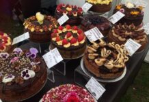 Brighton Vegan Summer Festival Returns this Weekend!