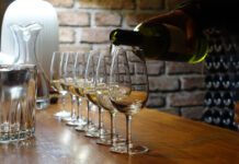 What’s On in Brighton This Weekend? 15th – 17th June