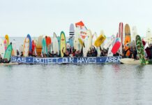 Surfers Against Sewage: What Needs to Be Done to Protect Brighton Beach?