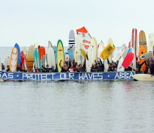 Surfers Against Sewage: What Needs to Be Done to Protect Brighton Beach?