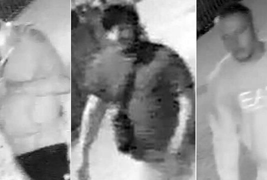 Police Issue Images of Brighton Thugs Who Committed Five Assaults in One Night