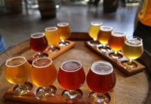 Brighton and Hove’s First Ever Beer Week Announced for Summer
