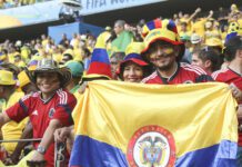 Meet the Brighton and Hove Albion Players Gracing the World Cup