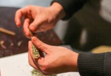 Fake ‘Designated Cannabis Zone’ Signs Appear Around Brighton