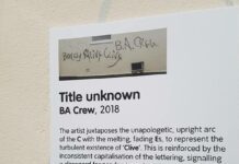 Top 10 Oddest Things Seen on “Keep Brighton Weird”