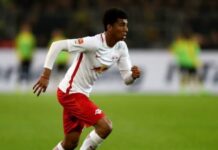 Albion Targets Include Ex-England Keeper & Champions League Star