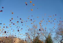 Environmental Calls Made to End the Releasing of Balloons in Brighton