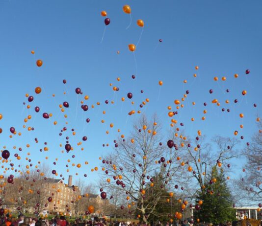 Environmental Calls Made to End the Releasing of Balloons in Brighton