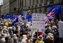 Ex-Brighton Uni Student Charged £20,000 for Brexit Fraud
