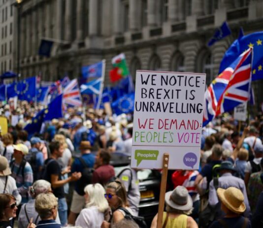 Ex-Brighton Uni Student Charged £20,000 for Brexit Fraud