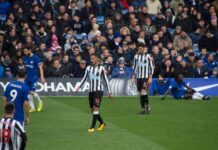 Albion to Make £10 Million Swoop For Newcastle Star