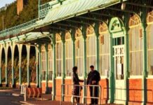 Attend the Madeira Terraces Cleanup Alongside Local Labour MP!