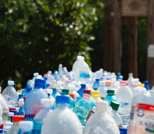 Single Use Plastics Policy Unveiled by Council After Community Campaign