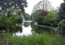 Have Your Say on New Council Plans For Queen’s Park!
