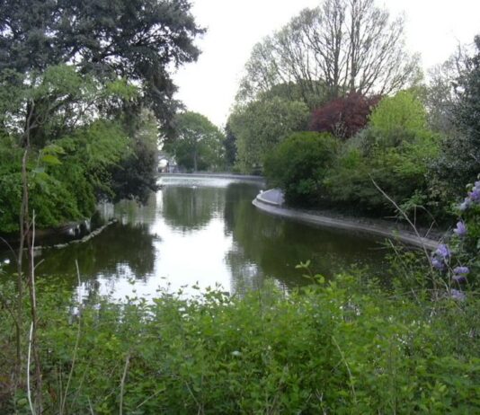 Have Your Say on New Council Plans For Queen’s Park!