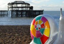 Martlets Are Looking For Guides For Their Snailway!