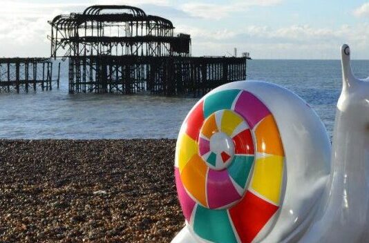 Martlets Are Looking For Guides For Their Snailway!