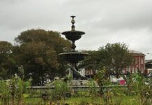 Nine Released Under Investigation After Serious Assault in Central Brighton