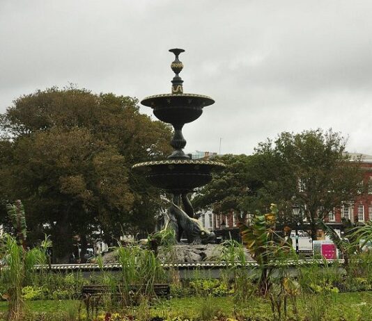 Nine Released Under Investigation After Serious Assault in Central Brighton