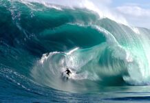 Ocean Film Festival rolls into Brighton this October