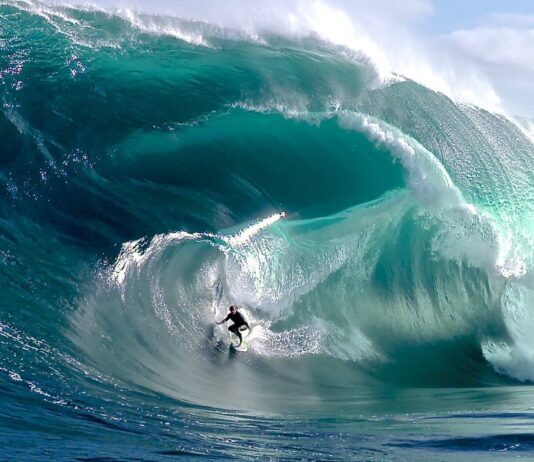 Ocean Film Festival rolls into Brighton this October