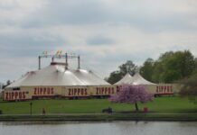 Petition to stop Zippos circus tour performing in Brighton and Hove divides residents