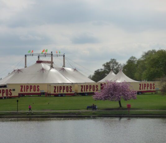 Petition to stop Zippos circus tour performing in Brighton and Hove divides residents