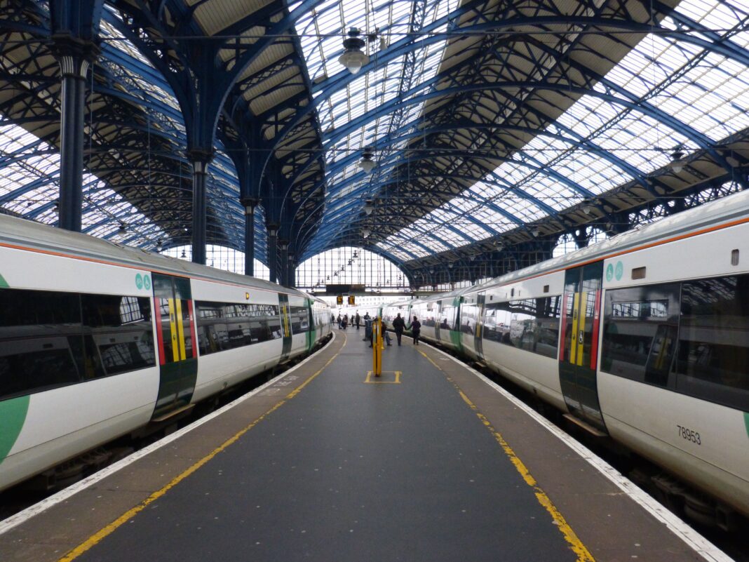 Dog dies after falling down gap between the platform at Brighton Station