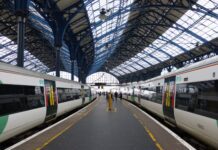 Dog dies after falling down gap between train and the platform at Brighton Station