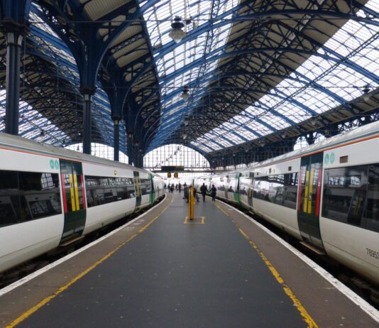 Dog dies after falling down gap between train and the platform at Brighton Station