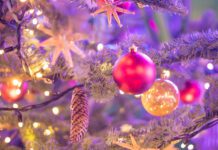 Winter Street Food and Makers Market brings festive spirit to Brighton this Sunday!
