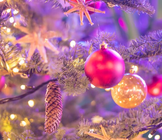 Winter Street Food and Makers Market brings festive spirit to Brighton this Sunday!