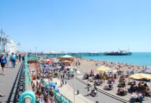 Petition to make Brighton beaches fully accessible for the disabled and wheelchair users