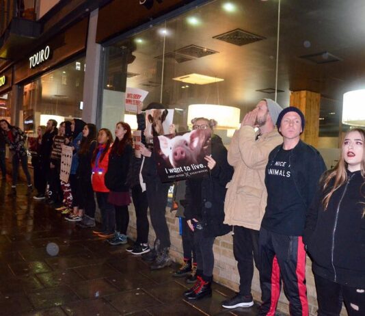 Animal rights protesters hold demonstration in steakhouse restaurant in Brighton