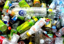 Natalie Fée on Plastic Pollution, Purpose-Led Business & Why Individual Action Still Matters