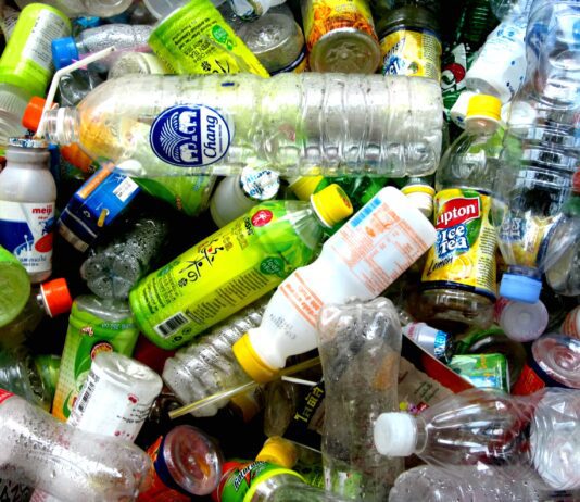 Natalie Fée on Plastic Pollution, Purpose-Led Business & Why Individual Action Still Matters