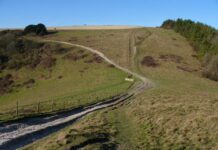 Brighton council plans to continue making countryside ‘accessible for all’