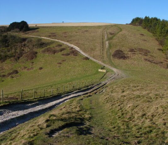 Brighton council plans to continue making countryside ‘accessible for all’